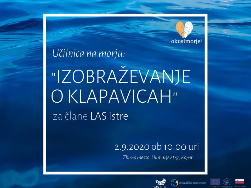 Vabljeni na izobraževanje o klapavicah: učna delavnica na morju