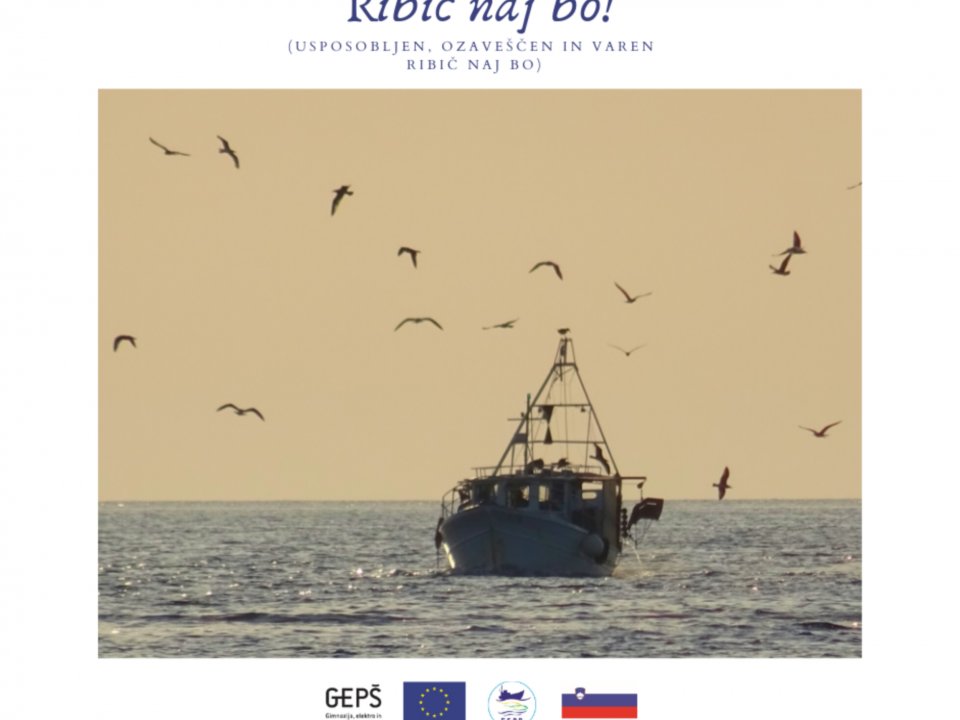 RIBIČ NAJ BO! - Galebi so stalni spremljevalci ribičev