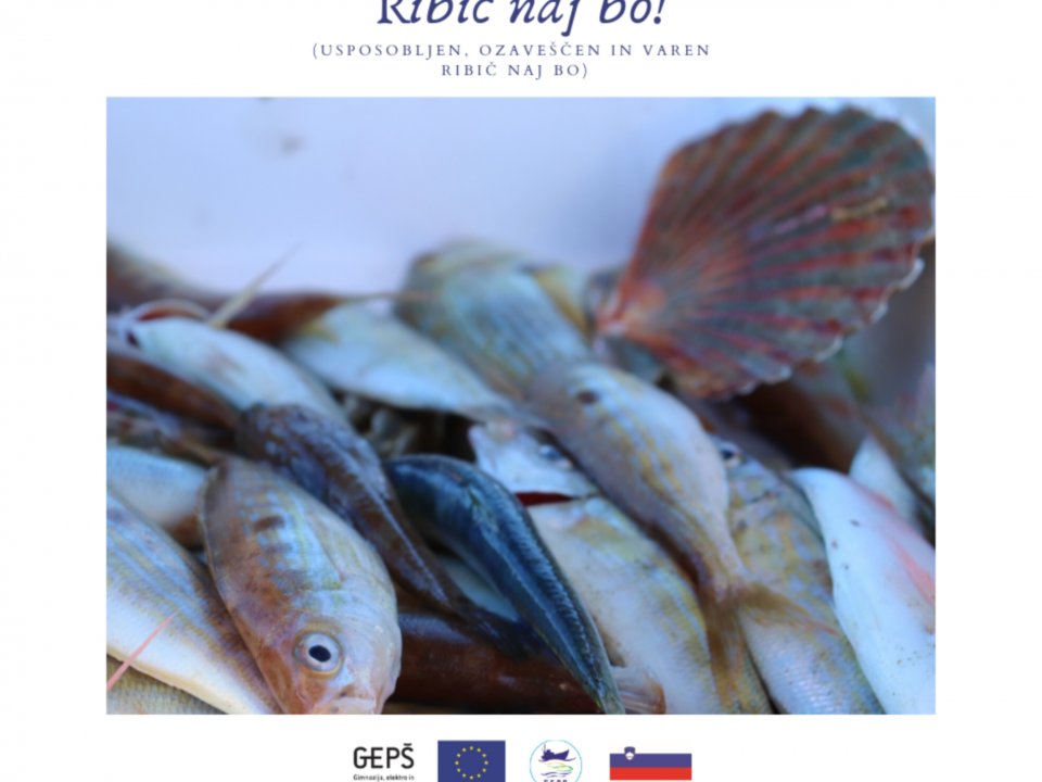 Ribič naj bo! - Sezona ribolova. Kdaj kaj?