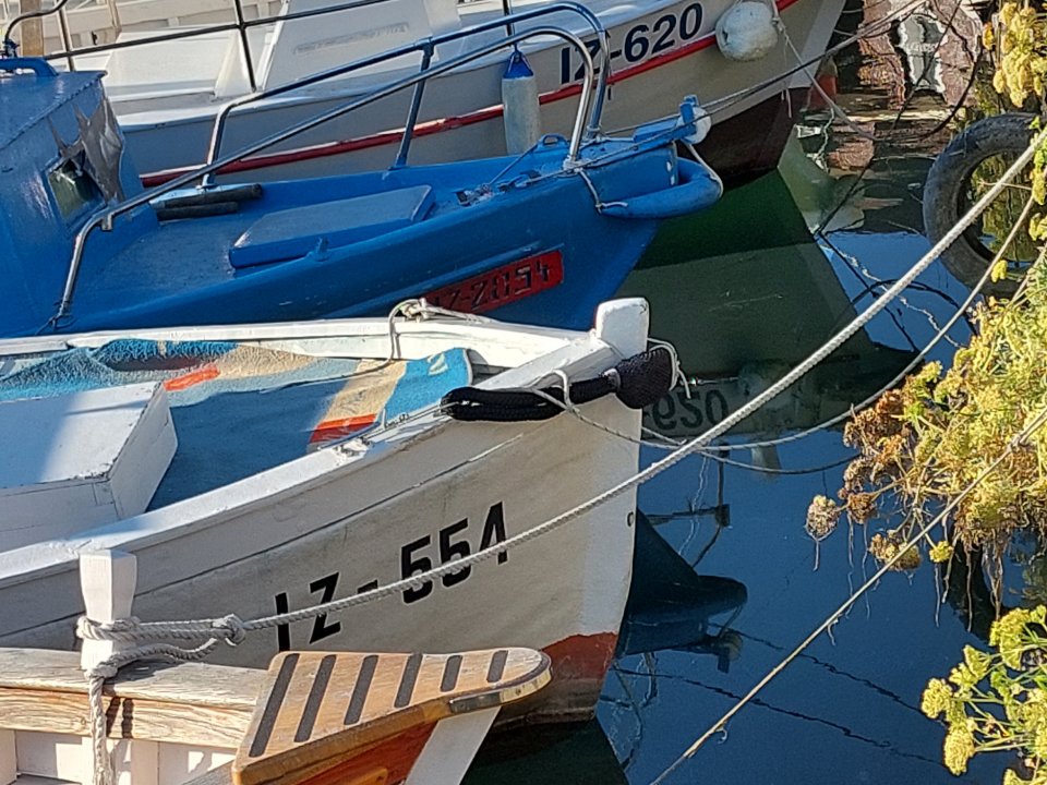 Označbe čolnov v Sloveniji