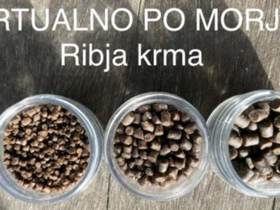 Virtualno po morju - Ribja krma