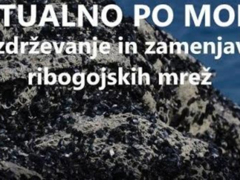 Vzdrževanje in zamenjava ribogojskih mrež